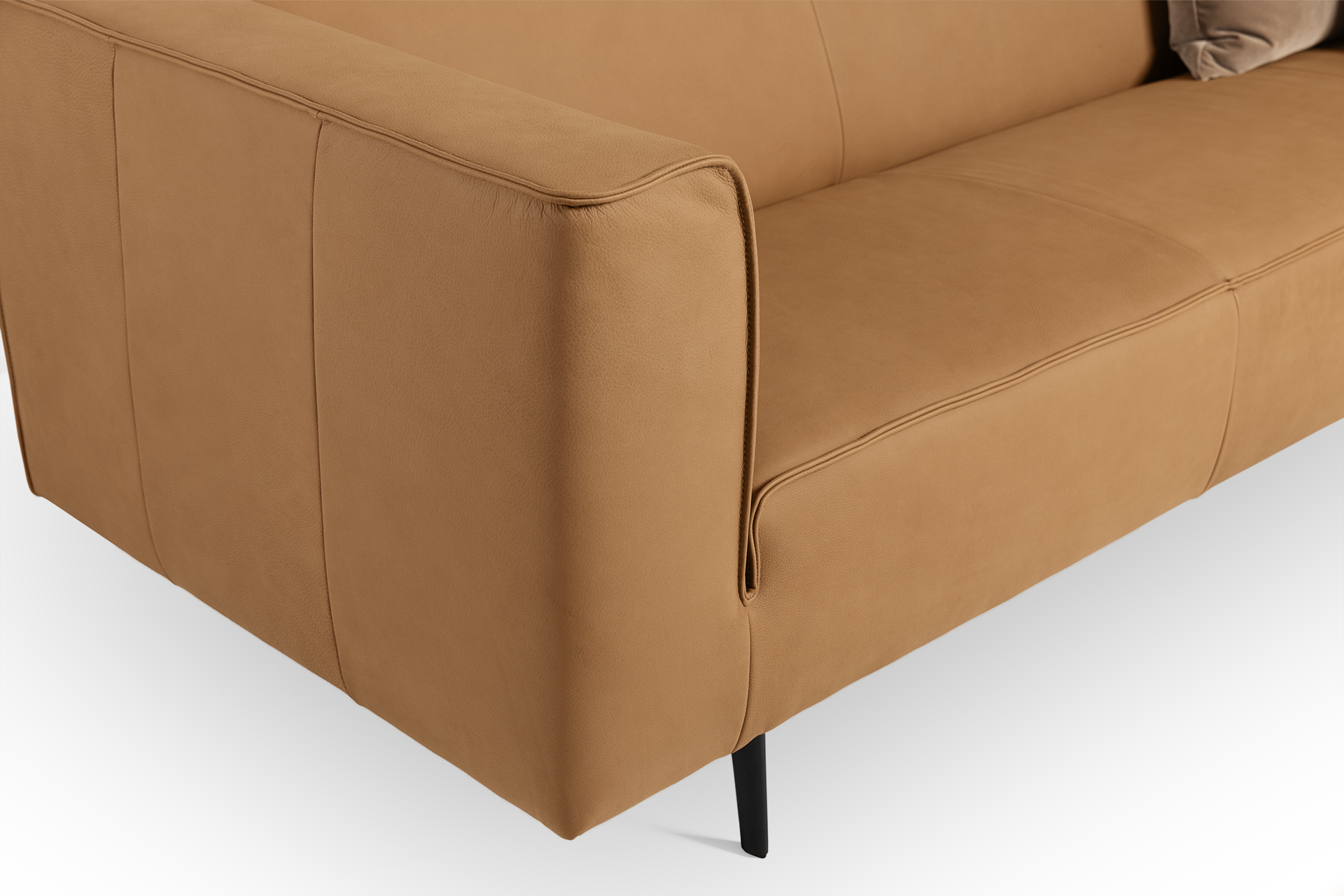 MD CARTEL DANTE DETAIL